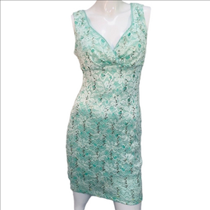 Crystal Doll Mint Green Lace Evening Dress Large